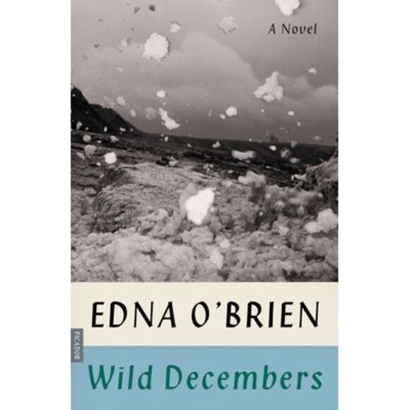 Wild Decembers -- Edna O'Brien - Picture 1 of 1